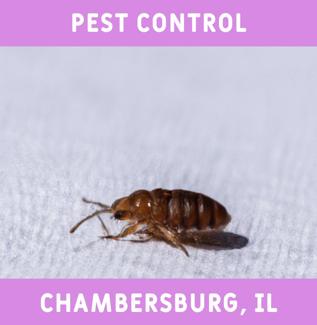 pest control in Chambersburg Illinois