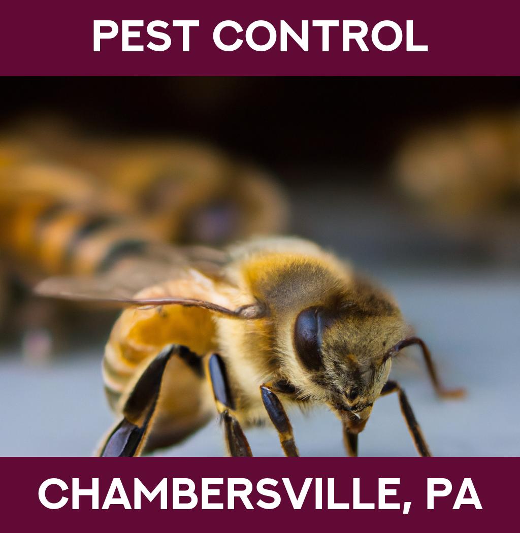 pest control in Chambersville Pennsylvania