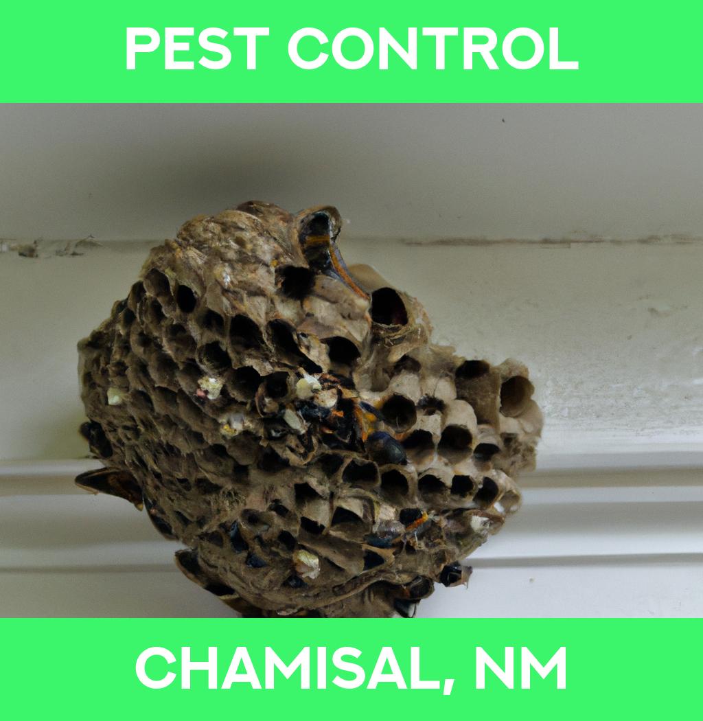 pest control in Chamisal New Mexico