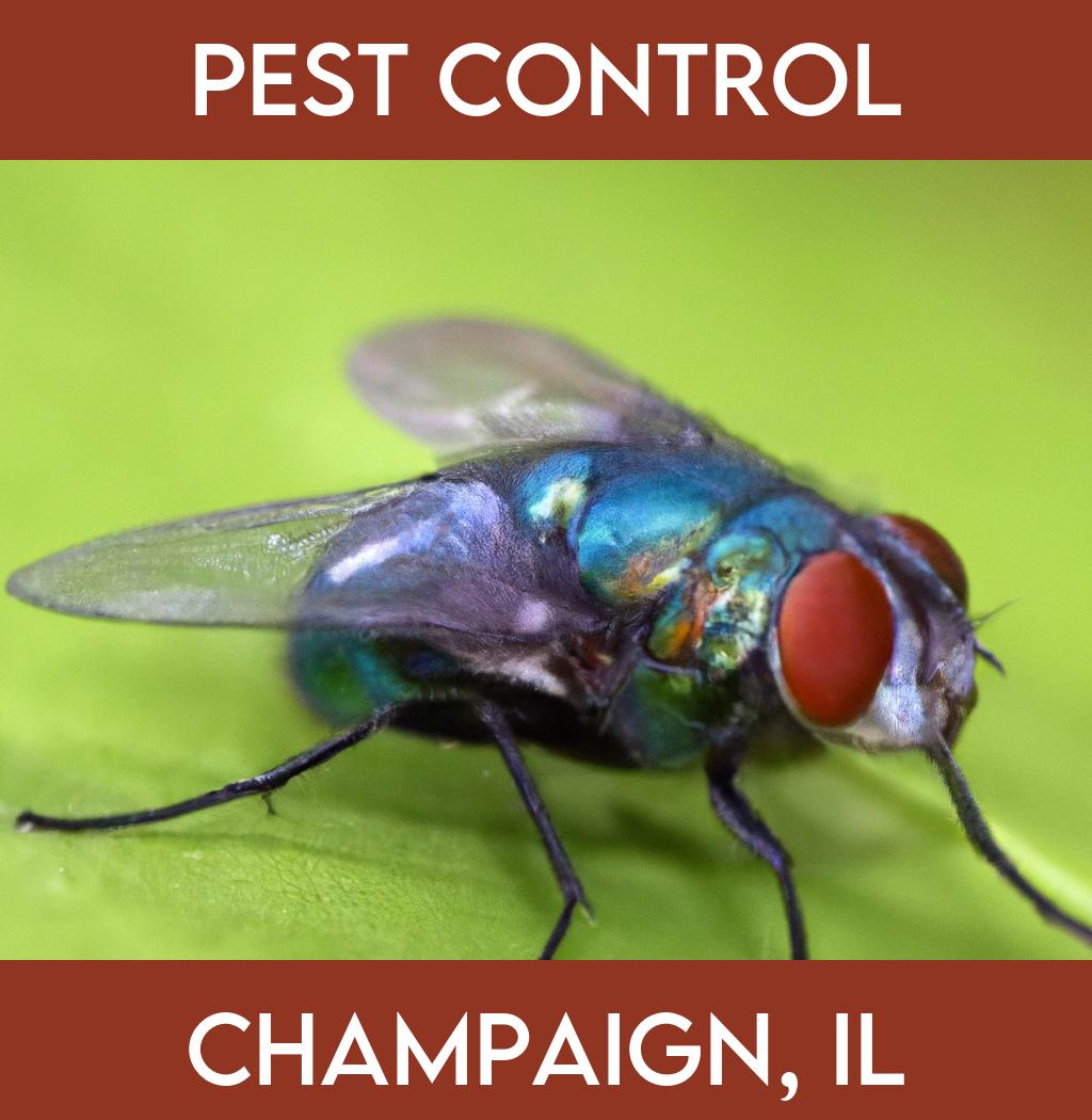 pest control in Champaign Illinois