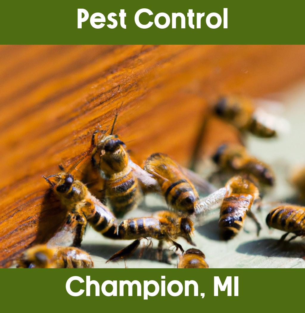 pest control in Champion Michigan
