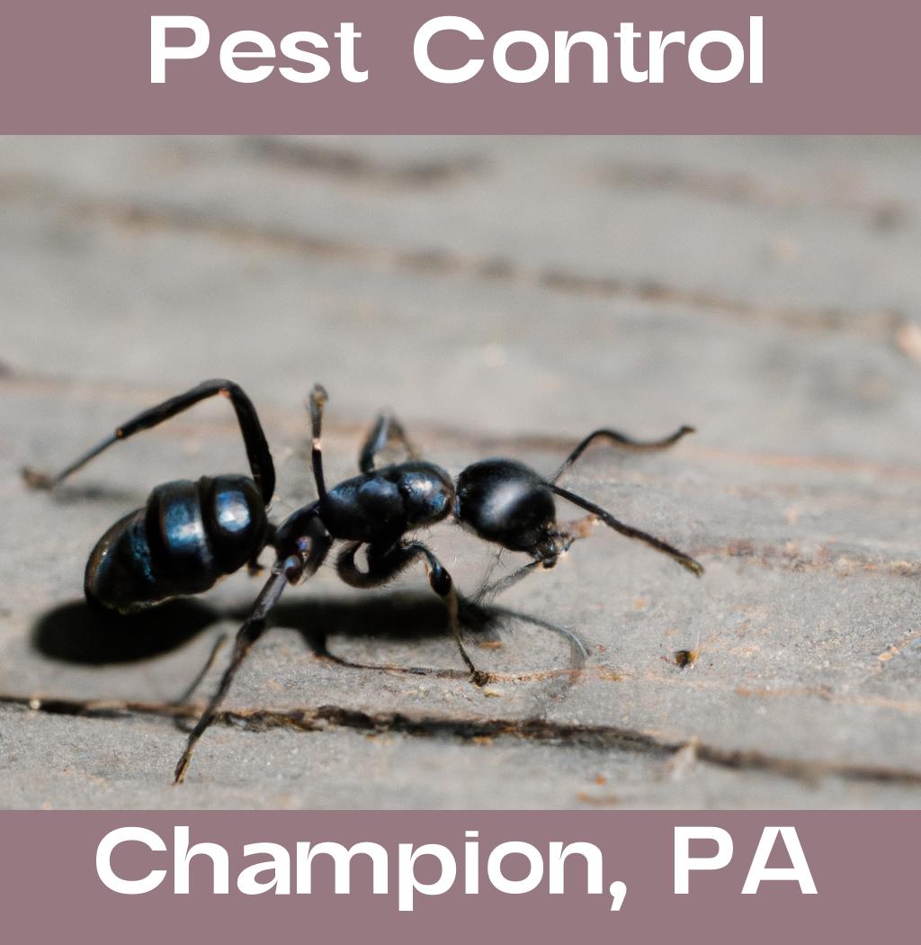 pest control in Champion Pennsylvania