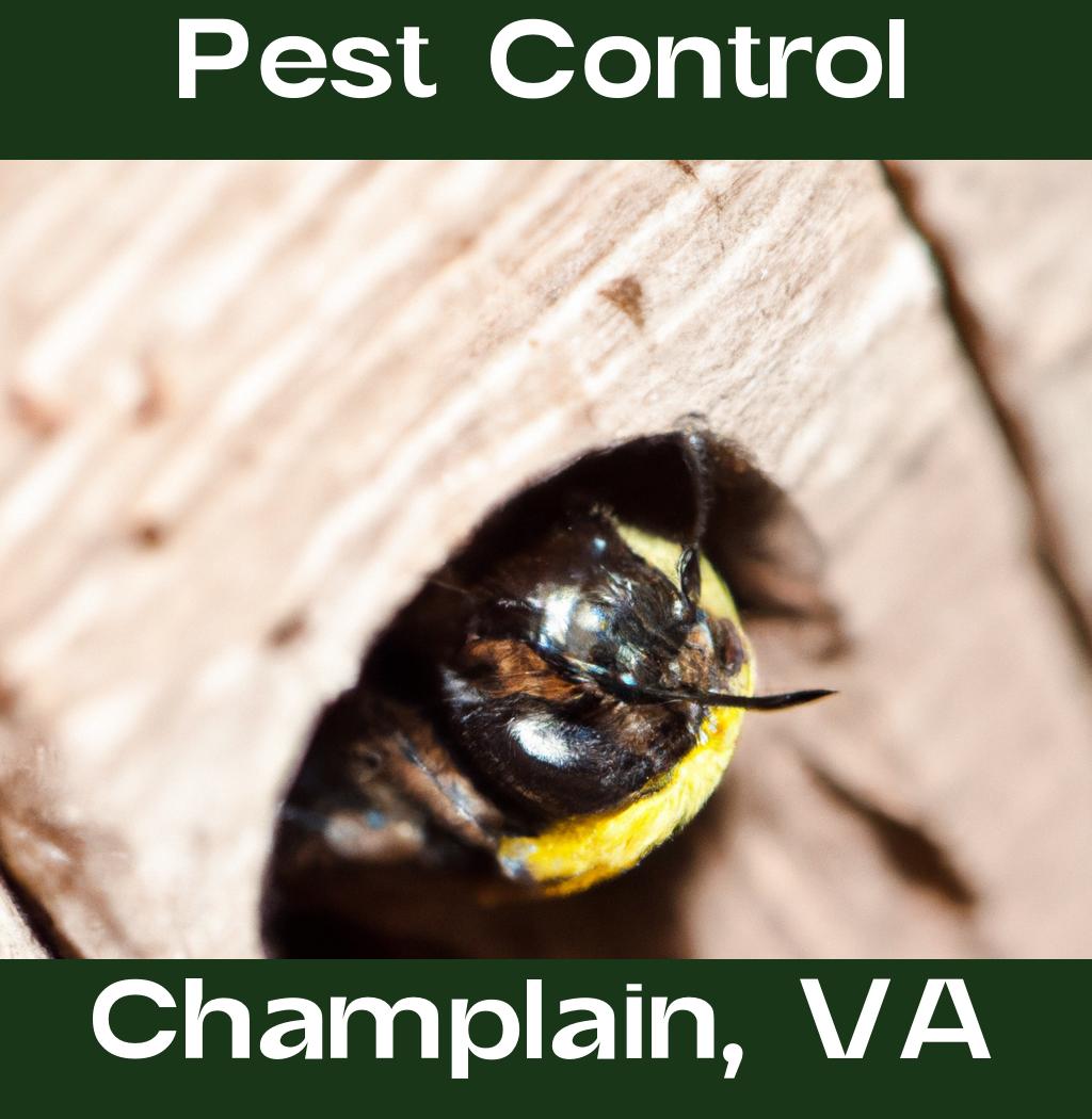 pest control in Champlain Virginia
