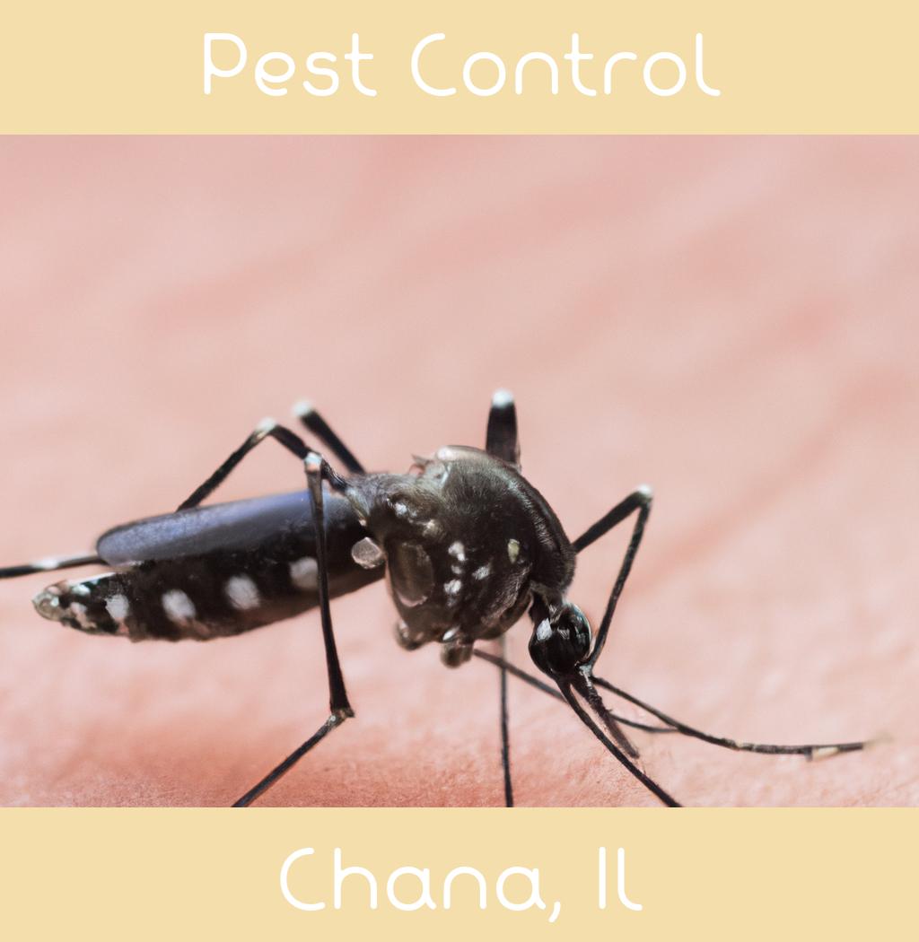 pest control in Chana Illinois