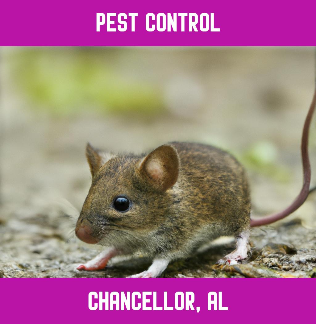 pest control in Chancellor Alabama