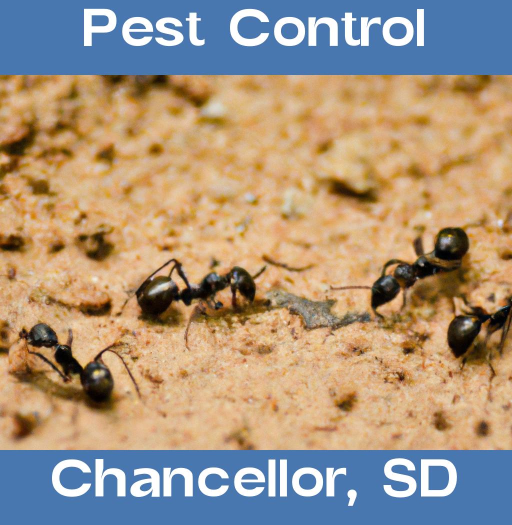 pest control in Chancellor South Dakota