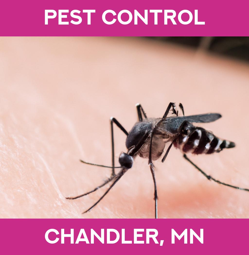 pest control in Chandler Minnesota