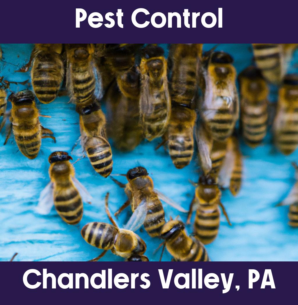 pest control in Chandlers Valley Pennsylvania