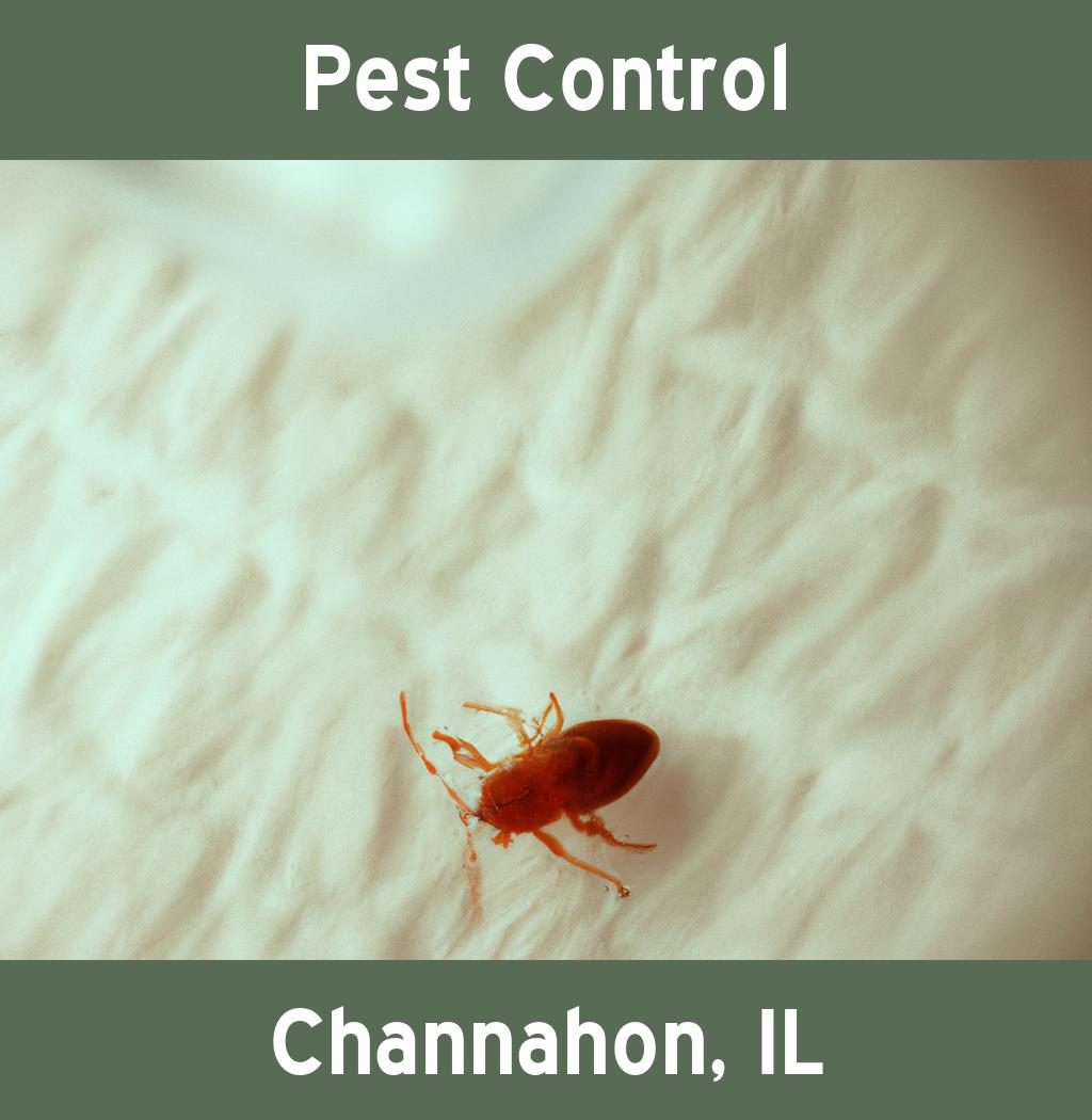 pest control in Channahon Illinois