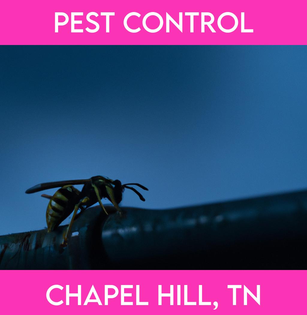 pest control in Chapel Hill Tennessee
