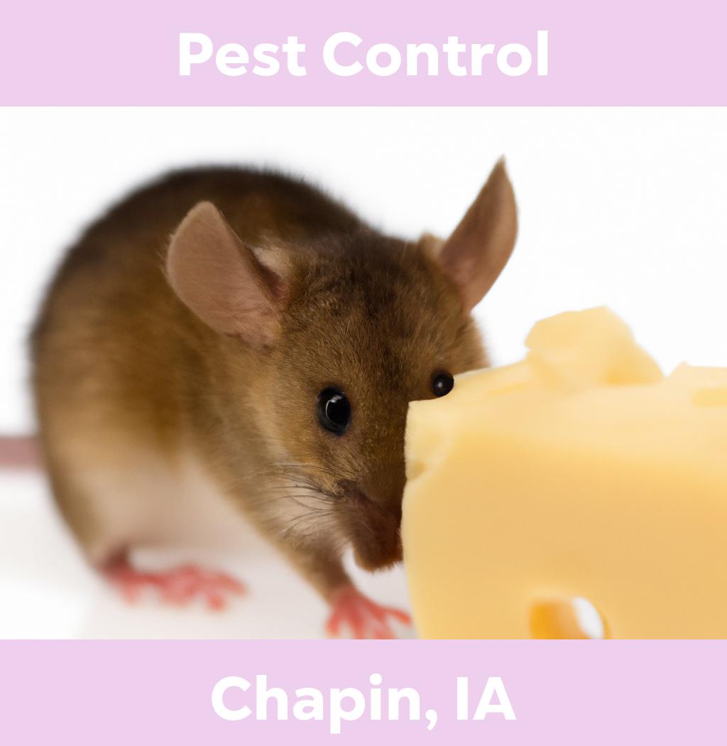 pest control in Chapin Iowa