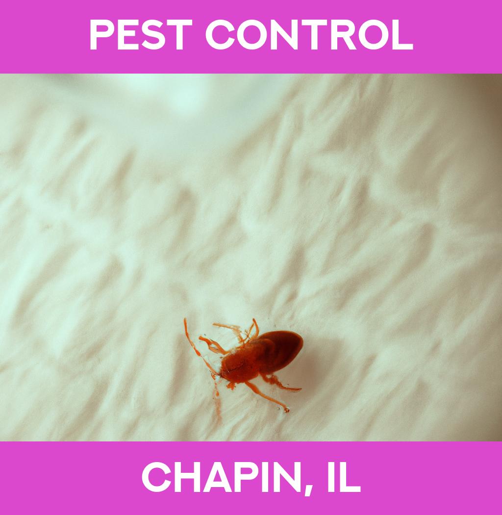 pest control in Chapin Illinois