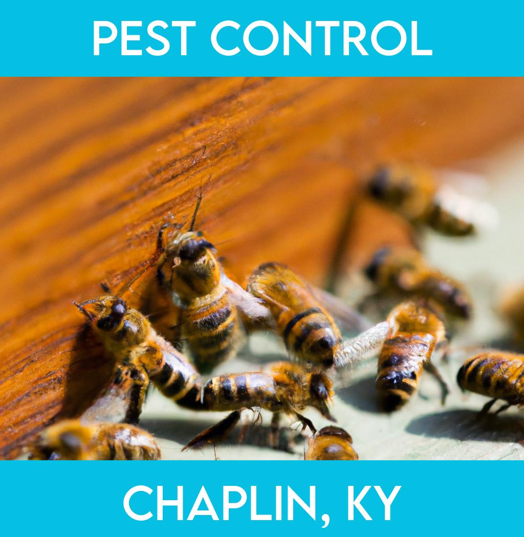 pest control in Chaplin Kentucky