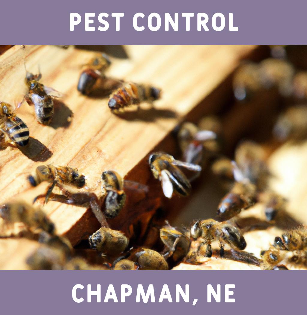 pest control in Chapman Nebraska