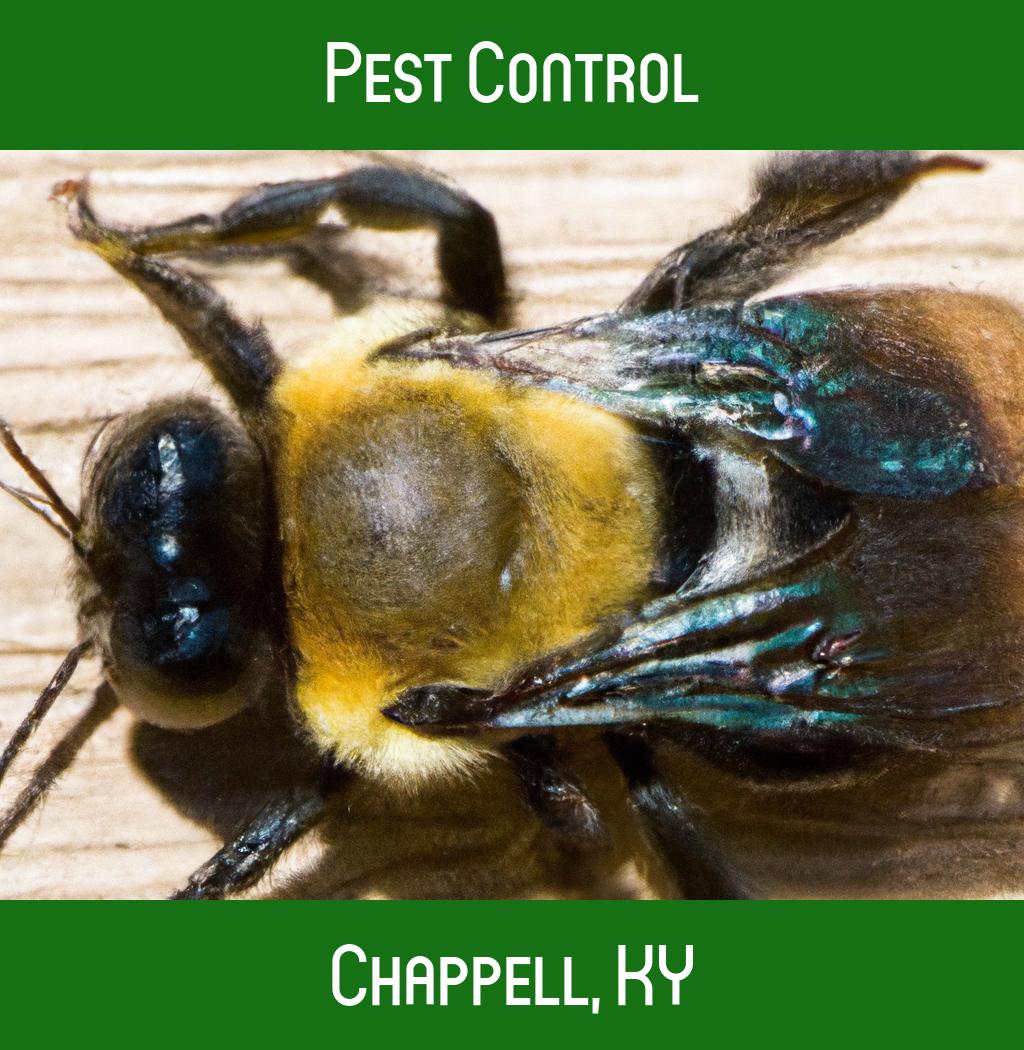 pest control in Chappell Kentucky