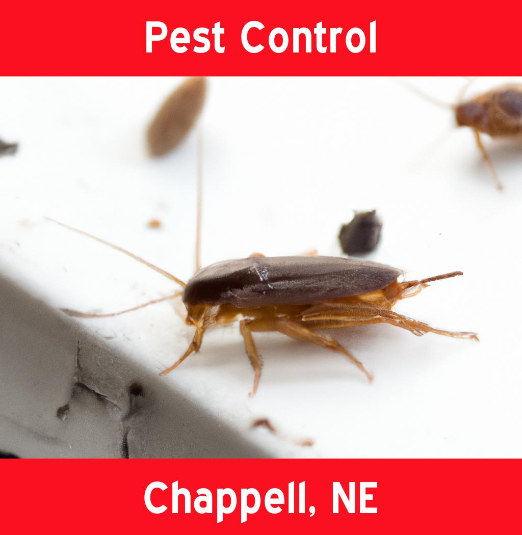 pest control in Chappell Nebraska