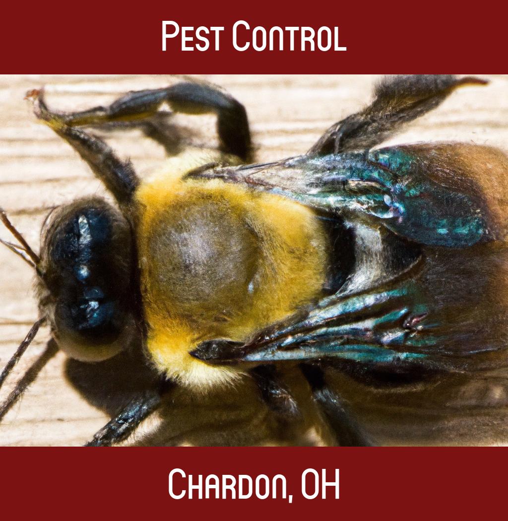 pest control in Chardon Ohio