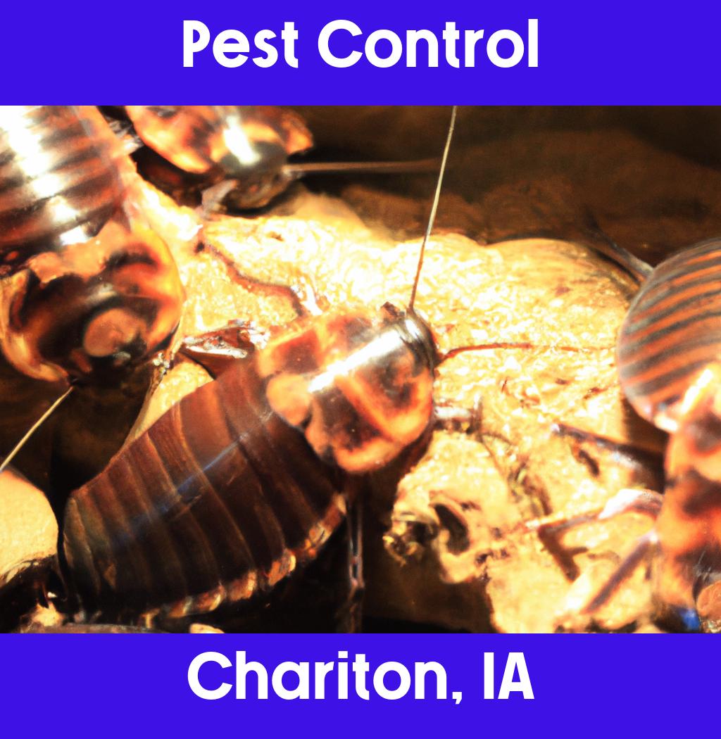 pest control in Chariton Iowa