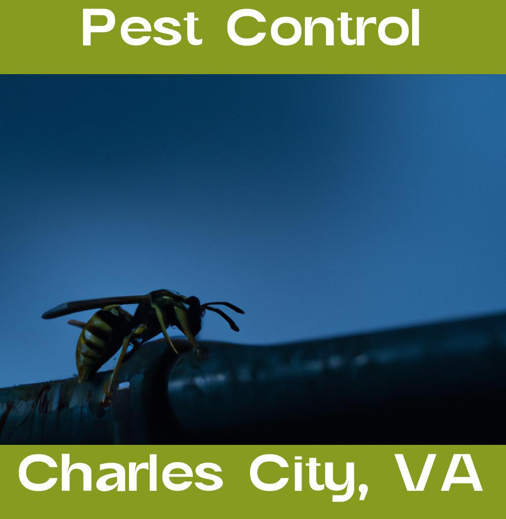 pest control in Charles City Virginia