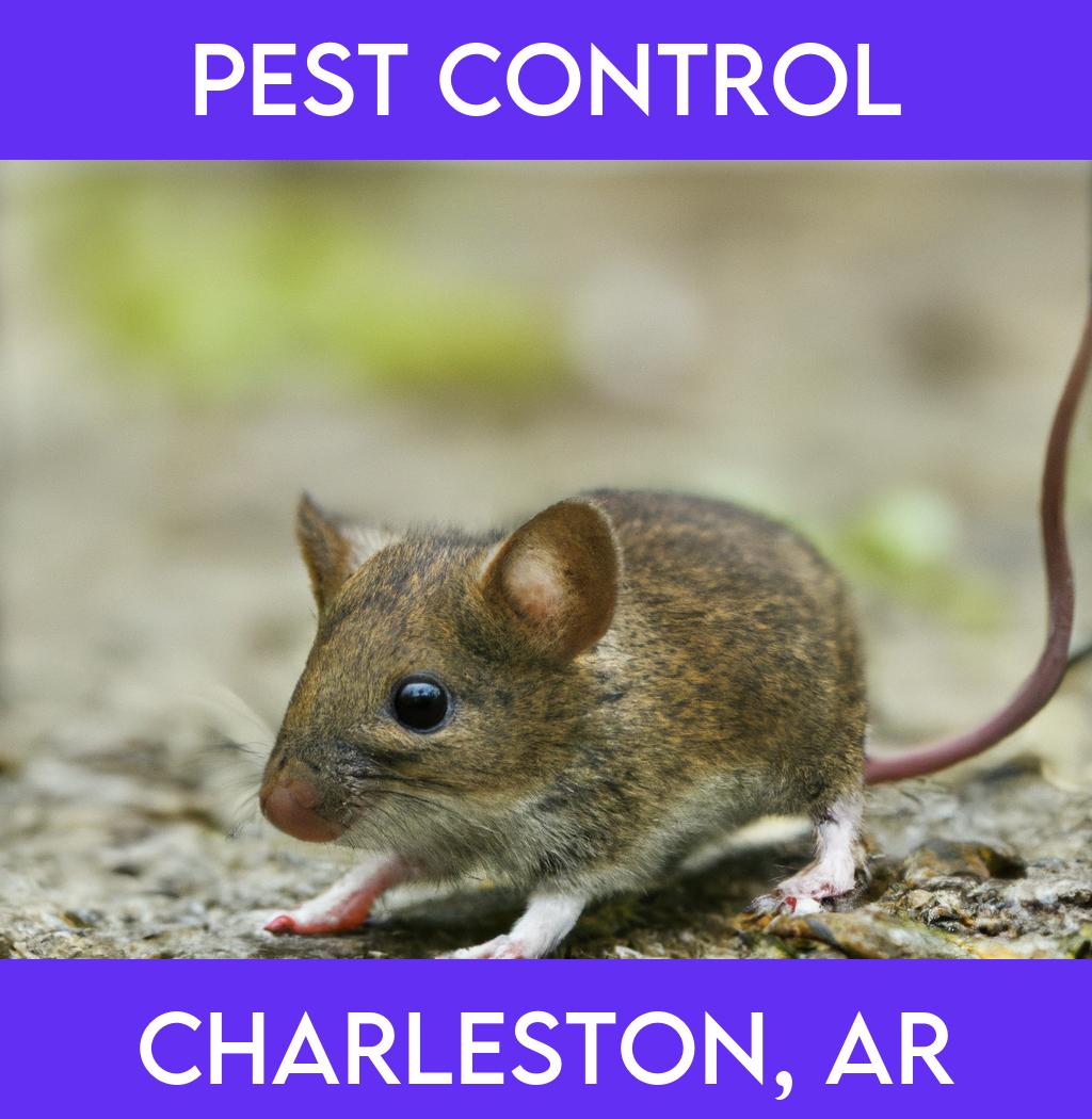 pest control in Charleston Arkansas