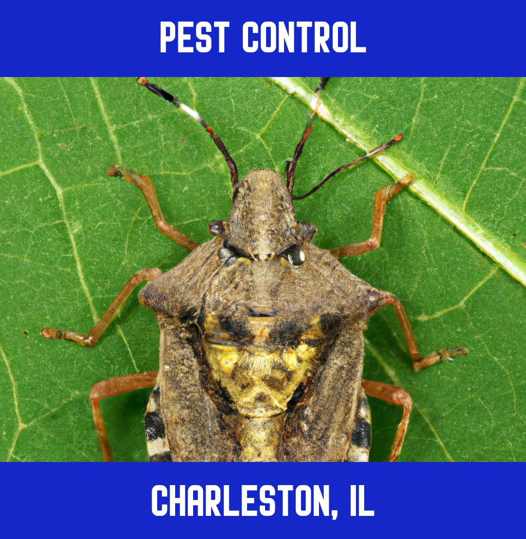 pest control in Charleston Illinois