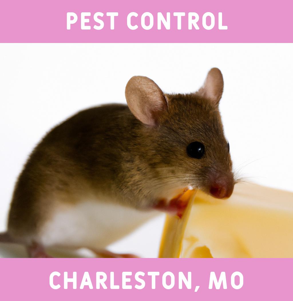 pest control in Charleston Missouri