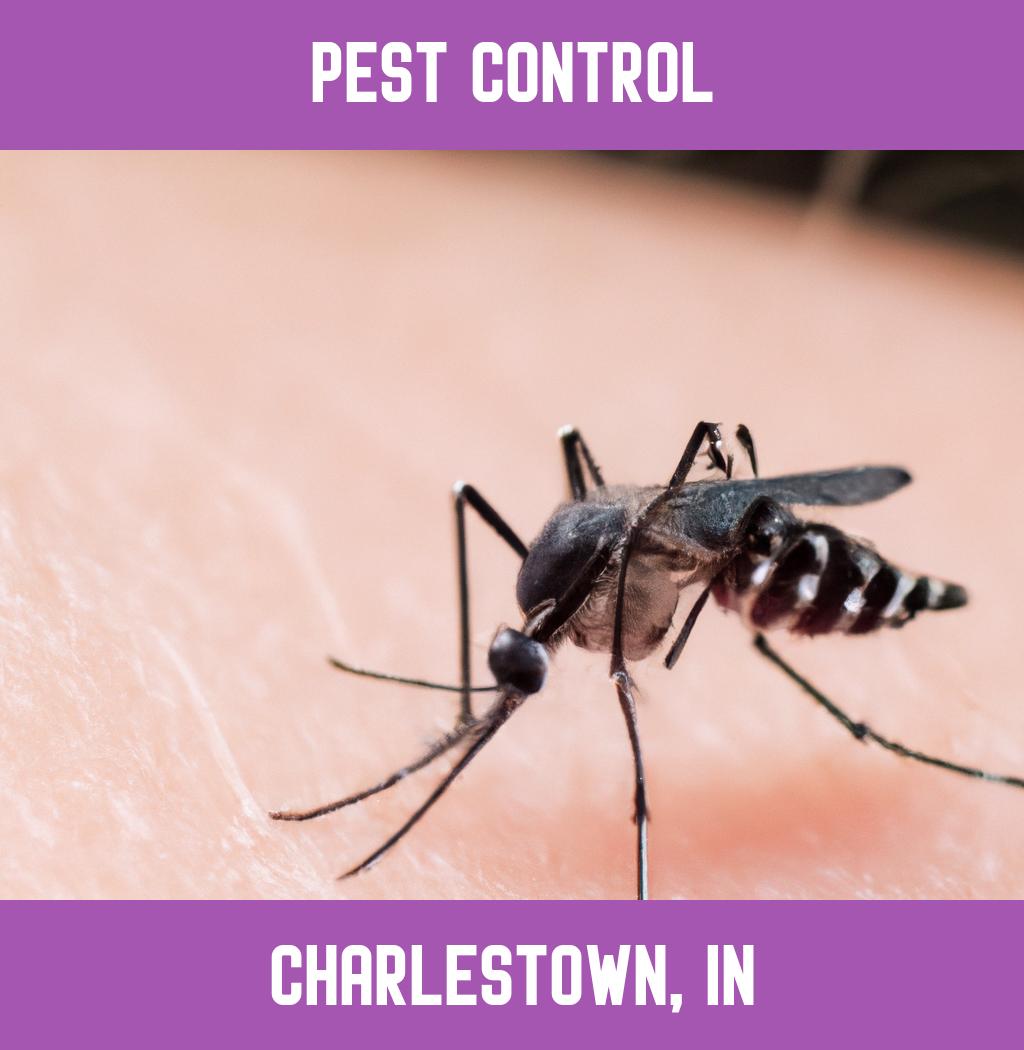 pest control in Charlestown Indiana