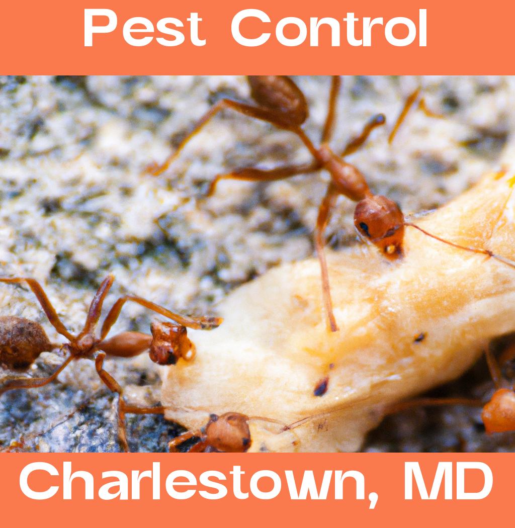 pest control in Charlestown Maryland