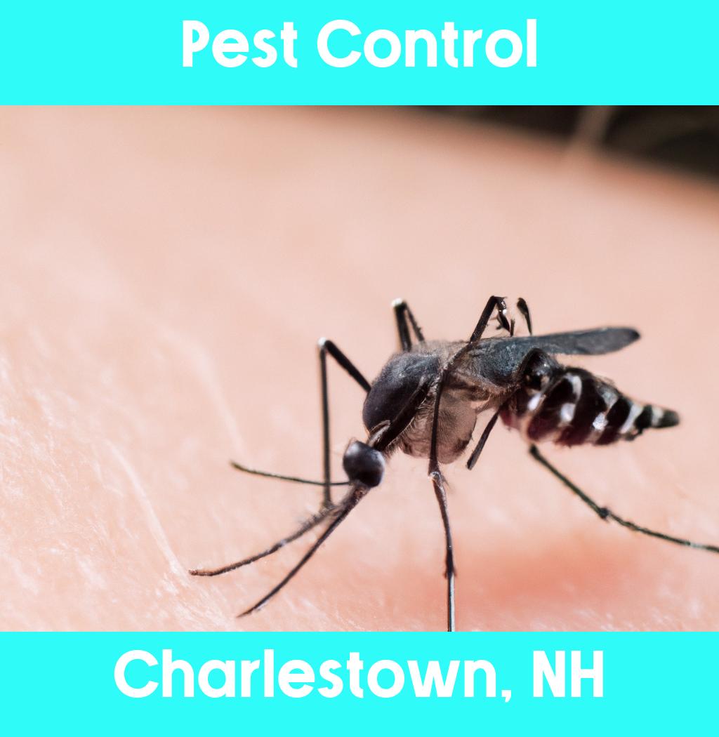 pest control in Charlestown New Hampshire