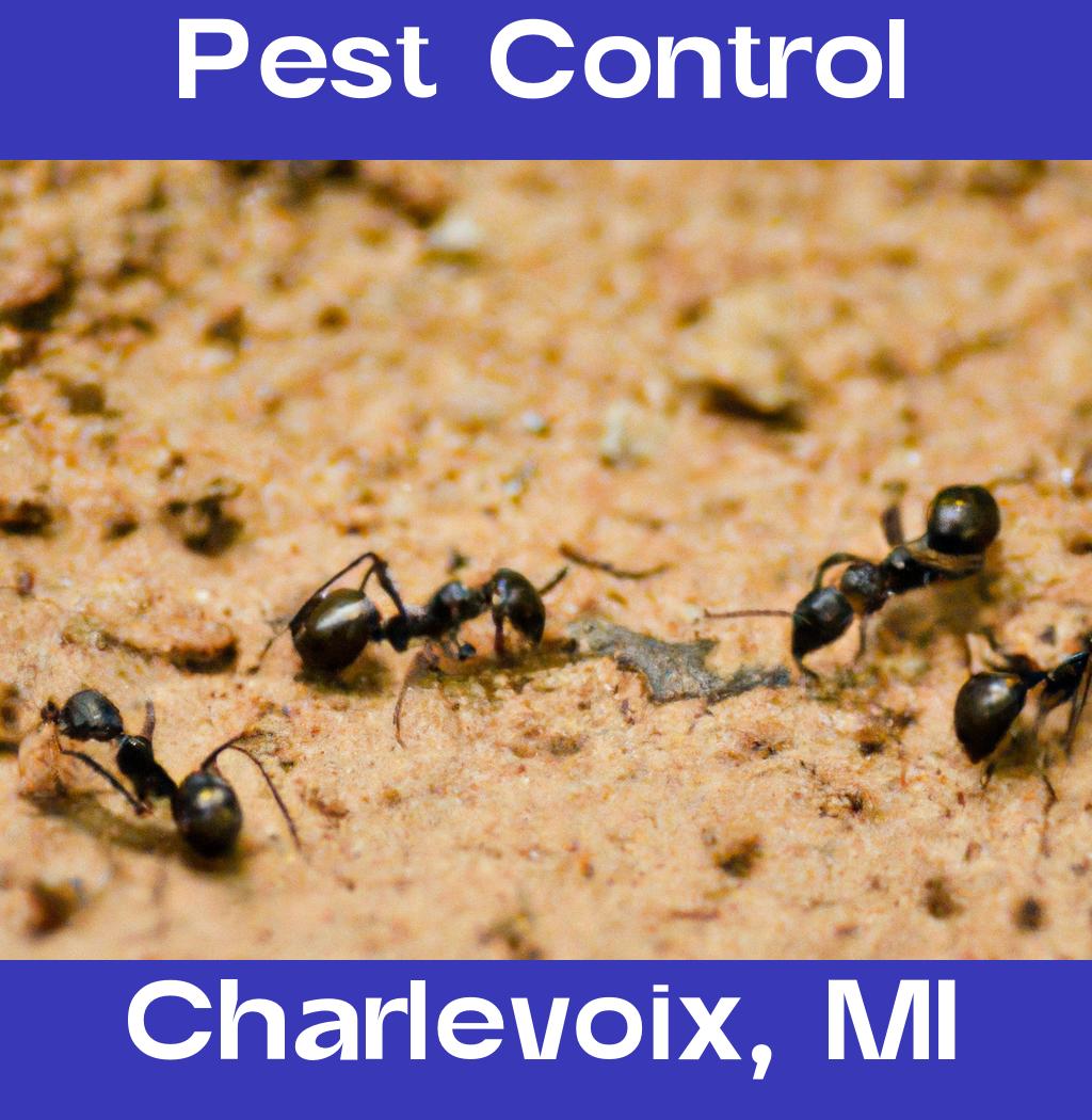 pest control in Charlevoix Michigan