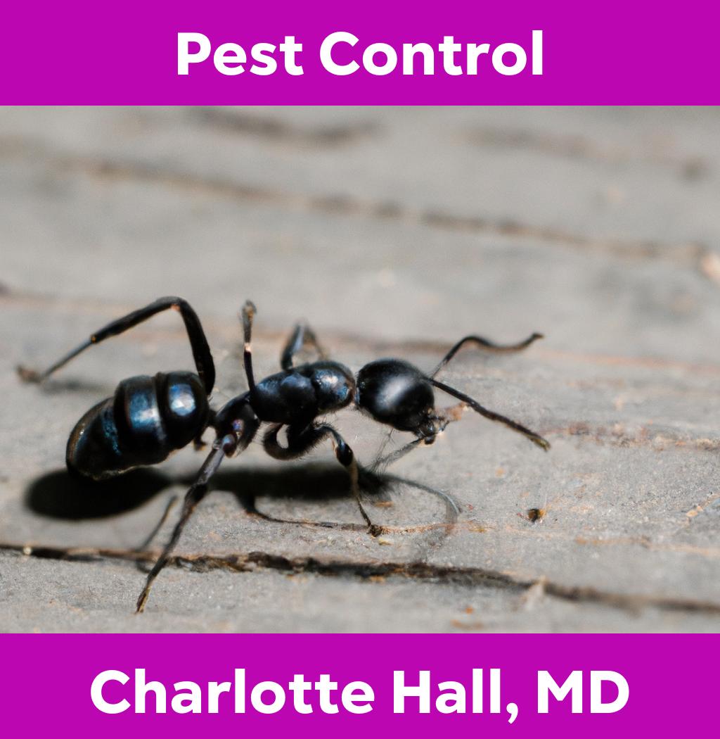 pest control in Charlotte Hall Maryland