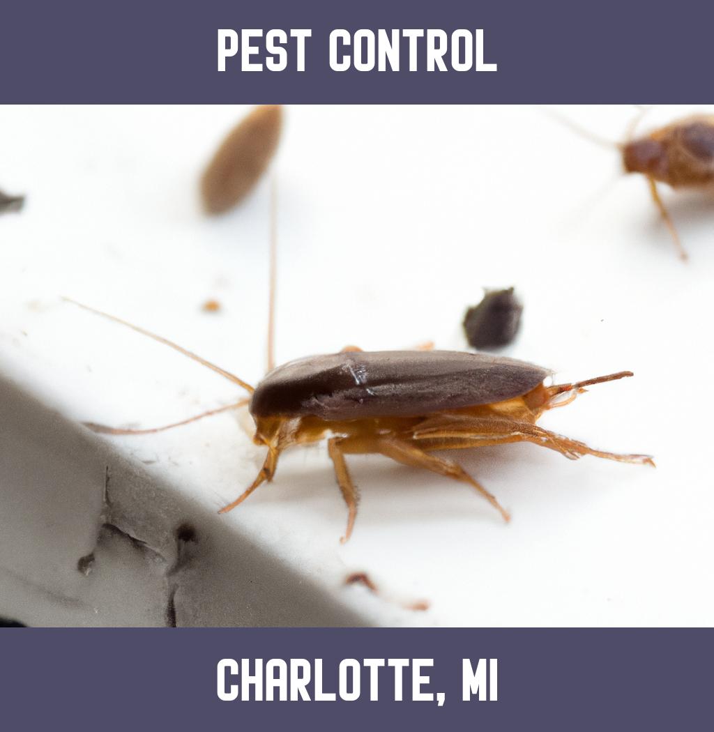 pest control in Charlotte Michigan