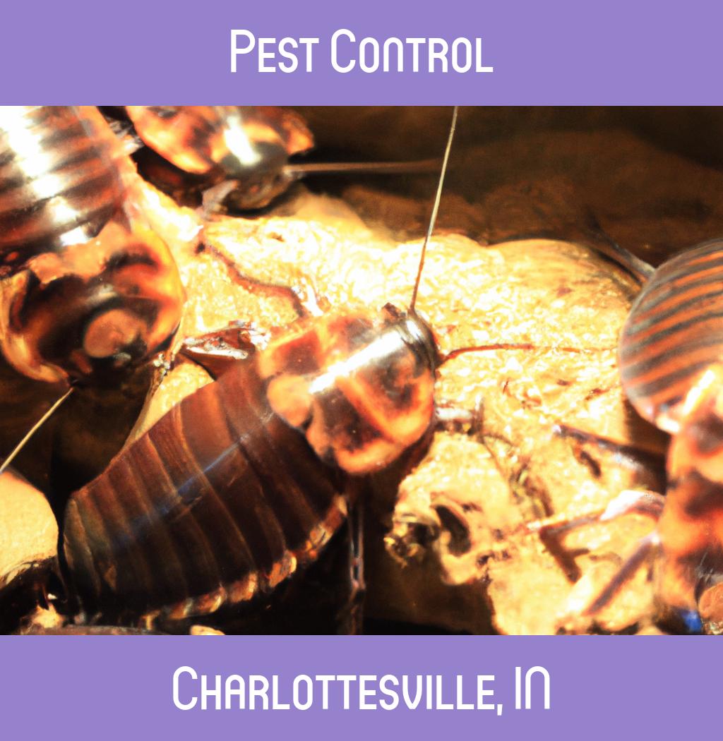 pest control in Charlottesville Indiana