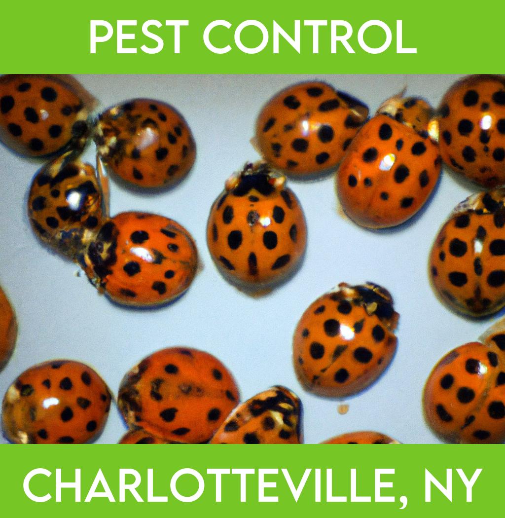 pest control in Charlotteville New York