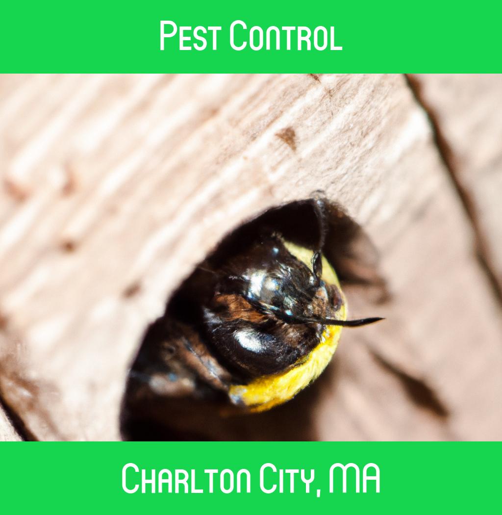 pest control in Charlton City Massachusetts
