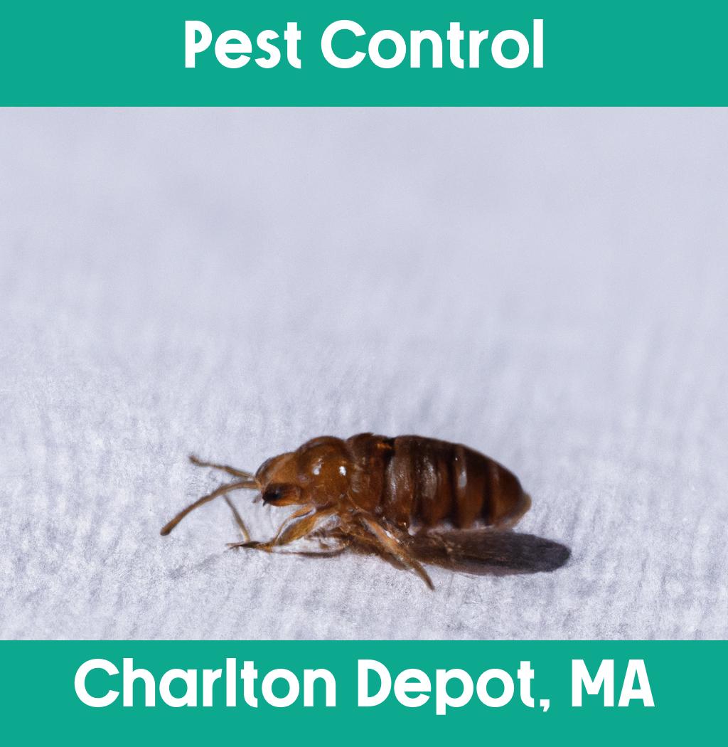 pest control in Charlton Depot Massachusetts