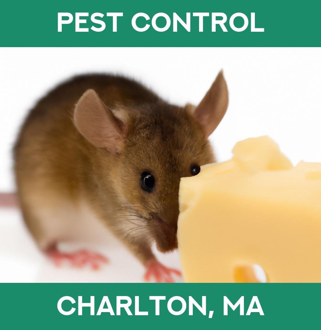 pest control in Charlton Massachusetts