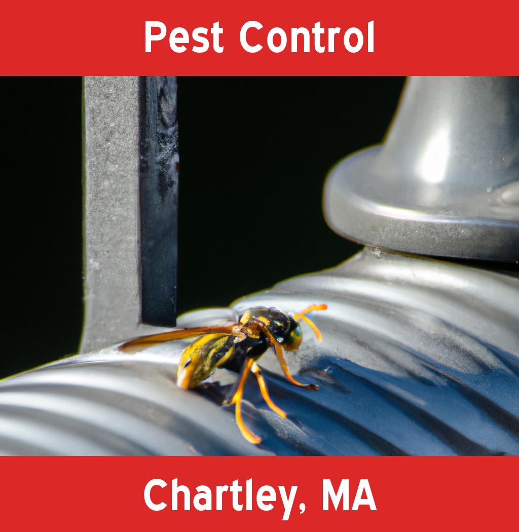pest control in Chartley Massachusetts