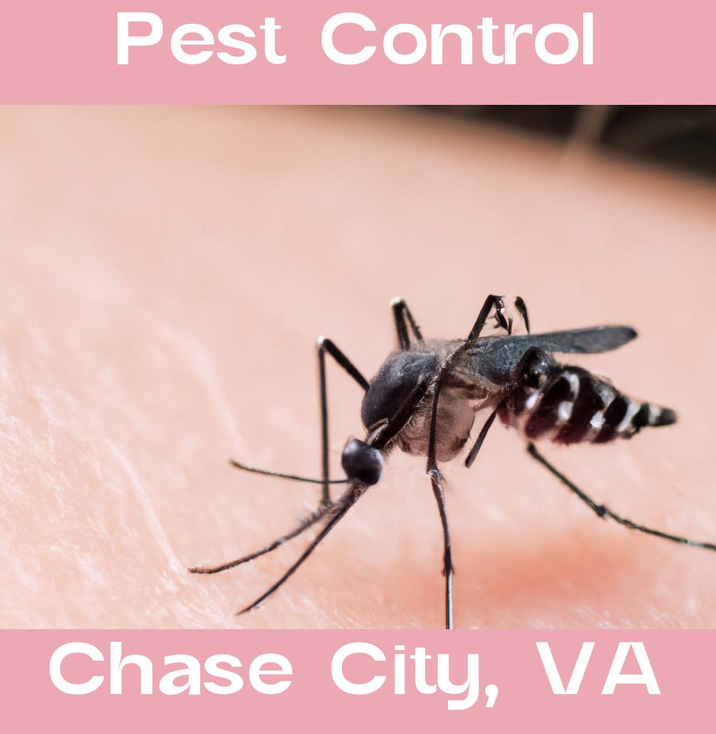 pest control in Chase City Virginia