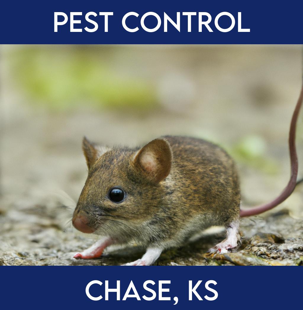 pest control in Chase Kansas