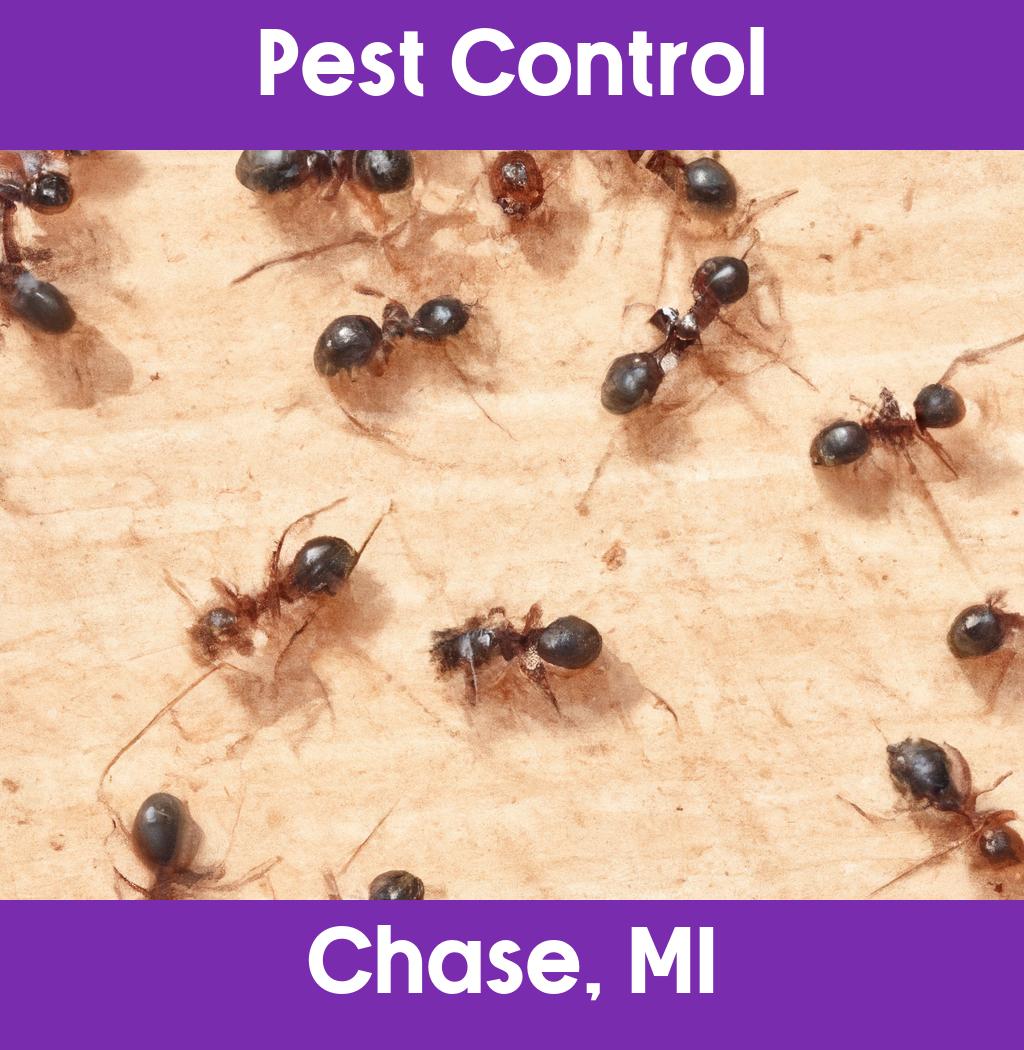 pest control in Chase Michigan