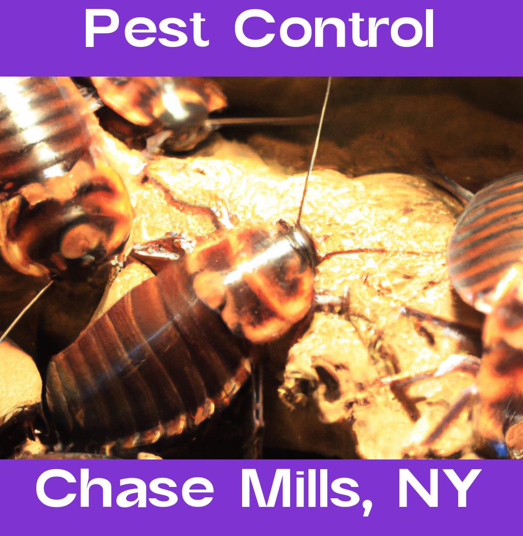 pest control in Chase Mills New York