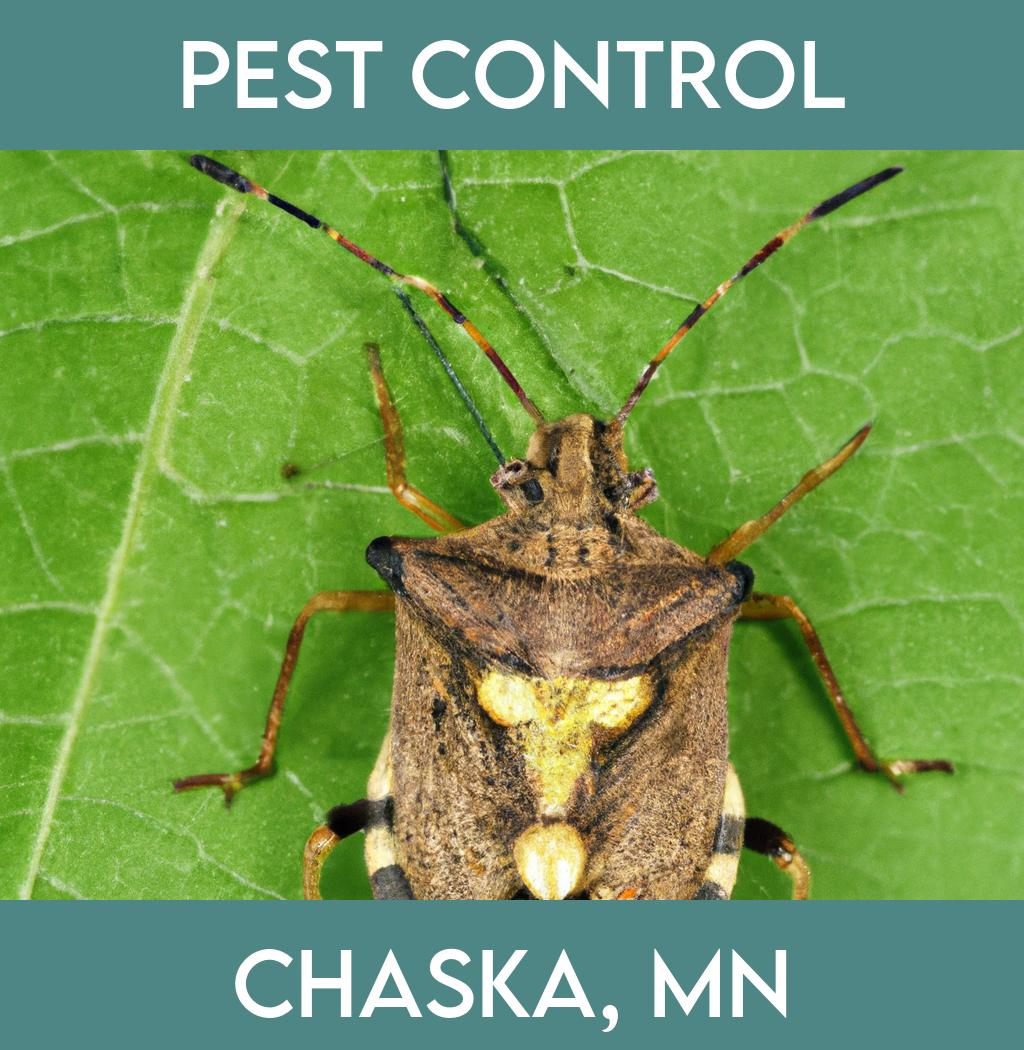 pest control in Chaska Minnesota
