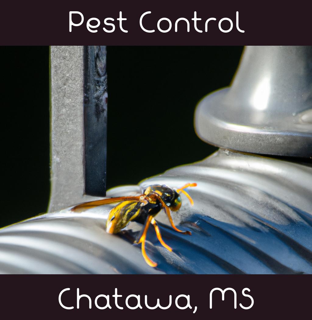 pest control in Chatawa Mississippi