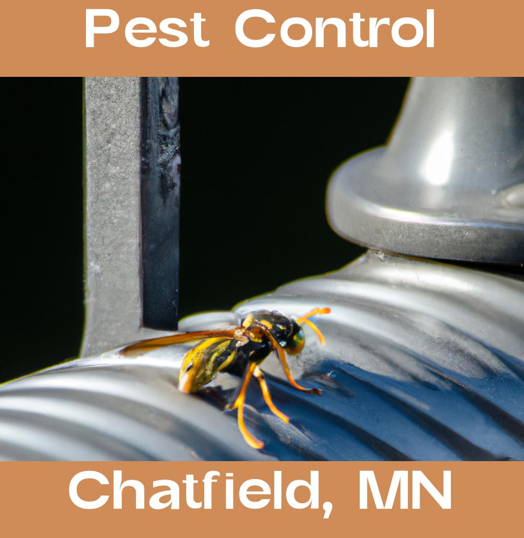 pest control in Chatfield Minnesota