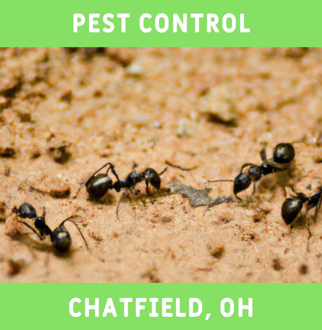 pest control in Chatfield Ohio