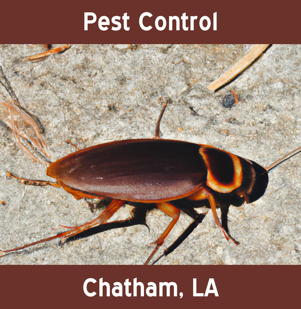 pest control in Chatham Louisiana