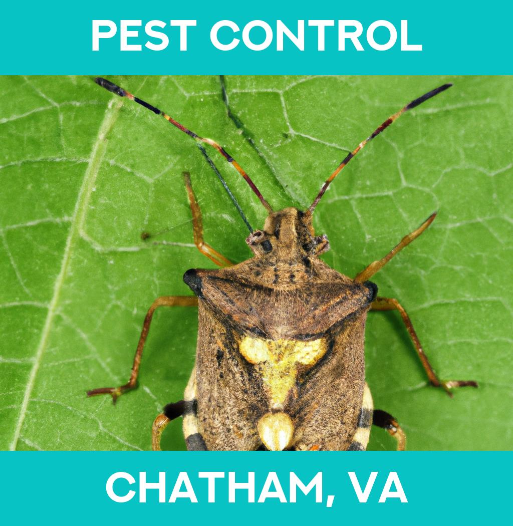 pest control in Chatham Virginia