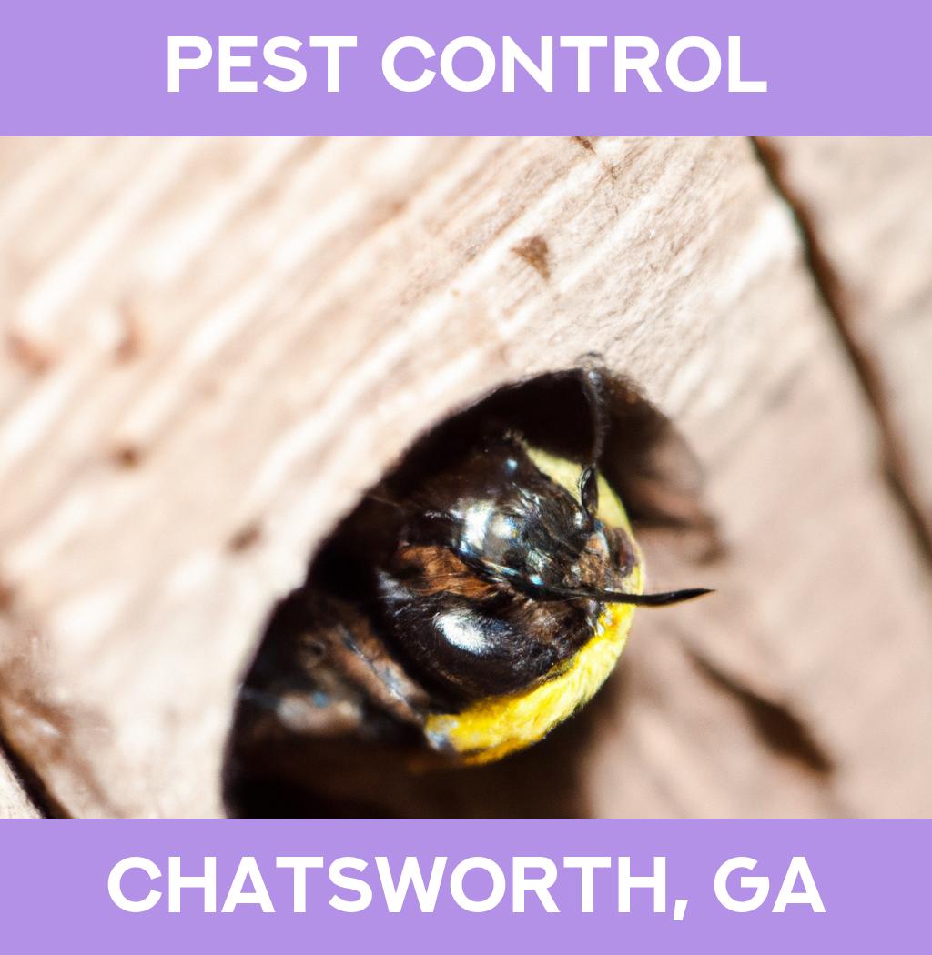 pest control in Chatsworth Georgia