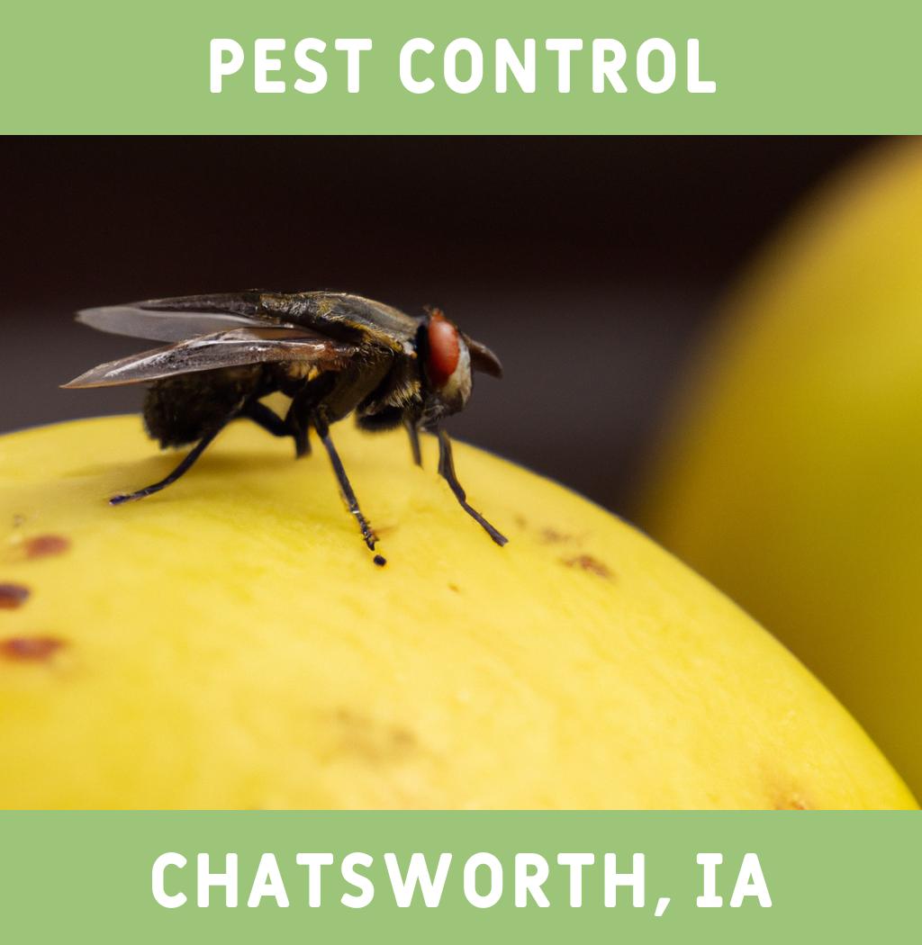 pest control in Chatsworth Iowa